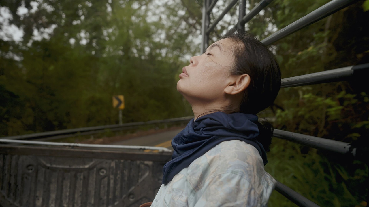 Because Watching Pacifies backdrop