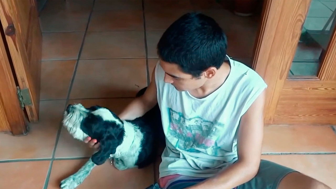 The Return of the Dead backdrop