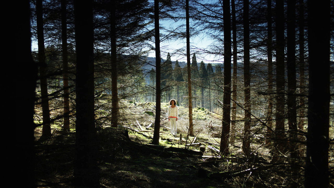 In the Rose Garden backdrop