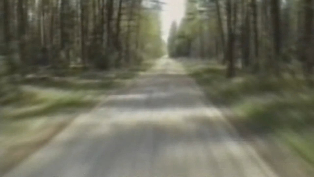 A Very Polish Secret backdrop