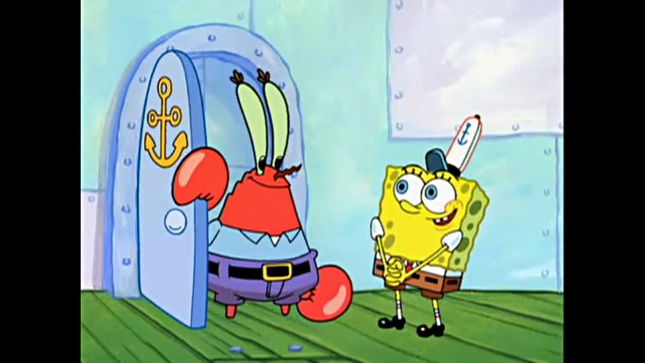 The Endless Summer backdrop