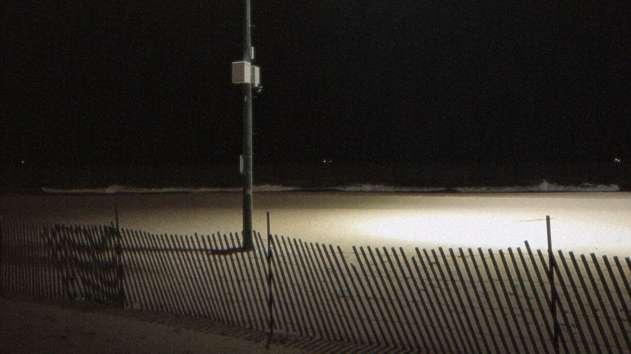 Despite Everything backdrop