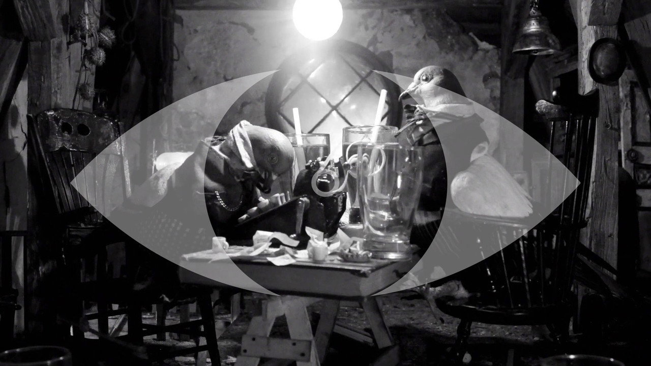 Naked Island - All We Need Is War backdrop