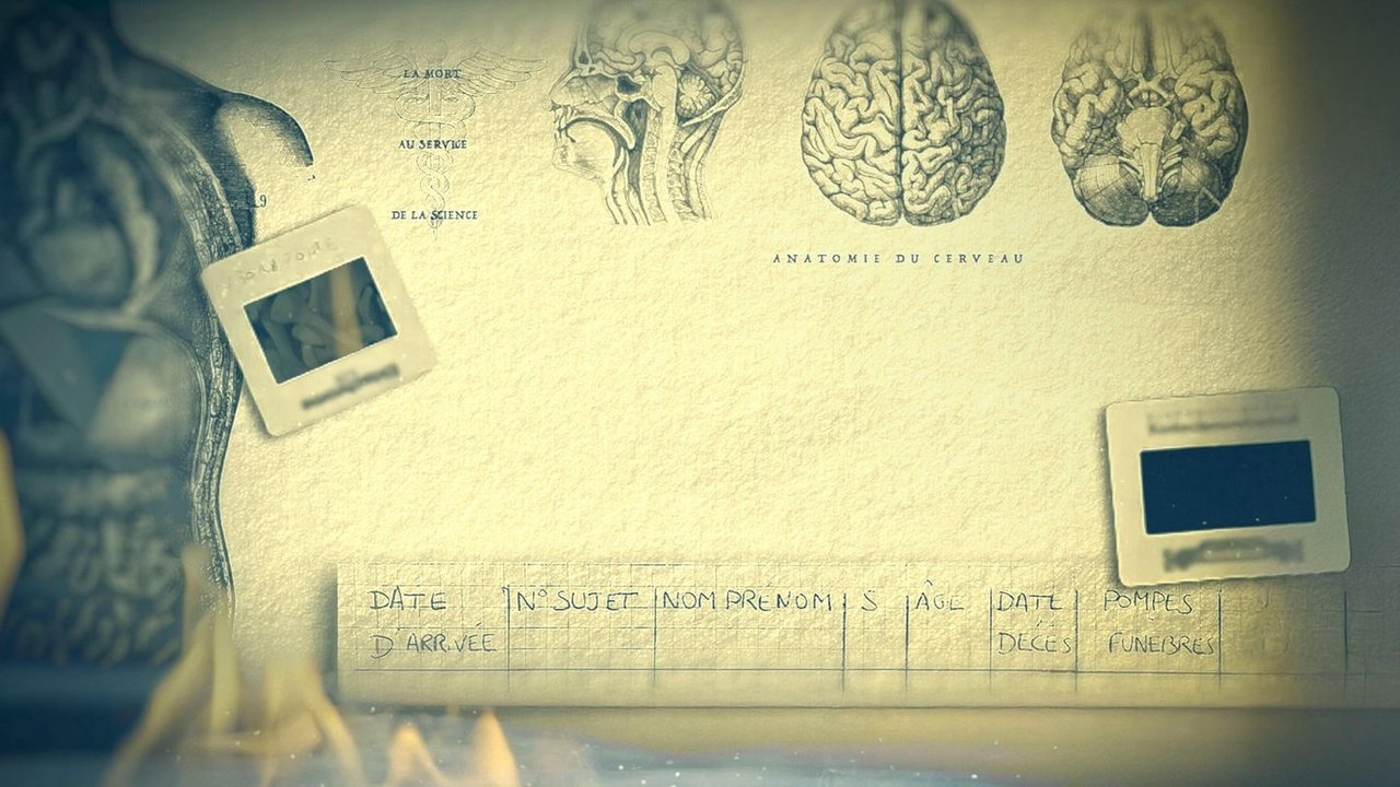 Paris Descartes - Anatomie d'un scandale backdrop