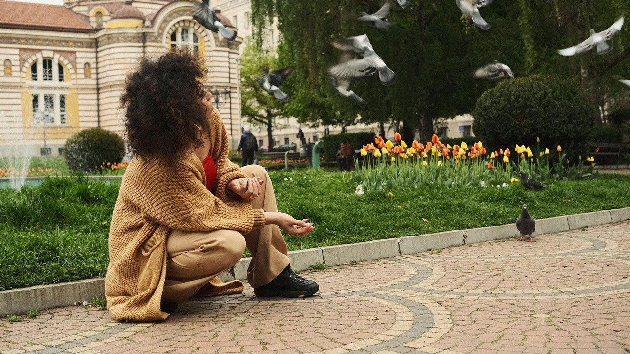 The Ghost of Scheherazade backdrop