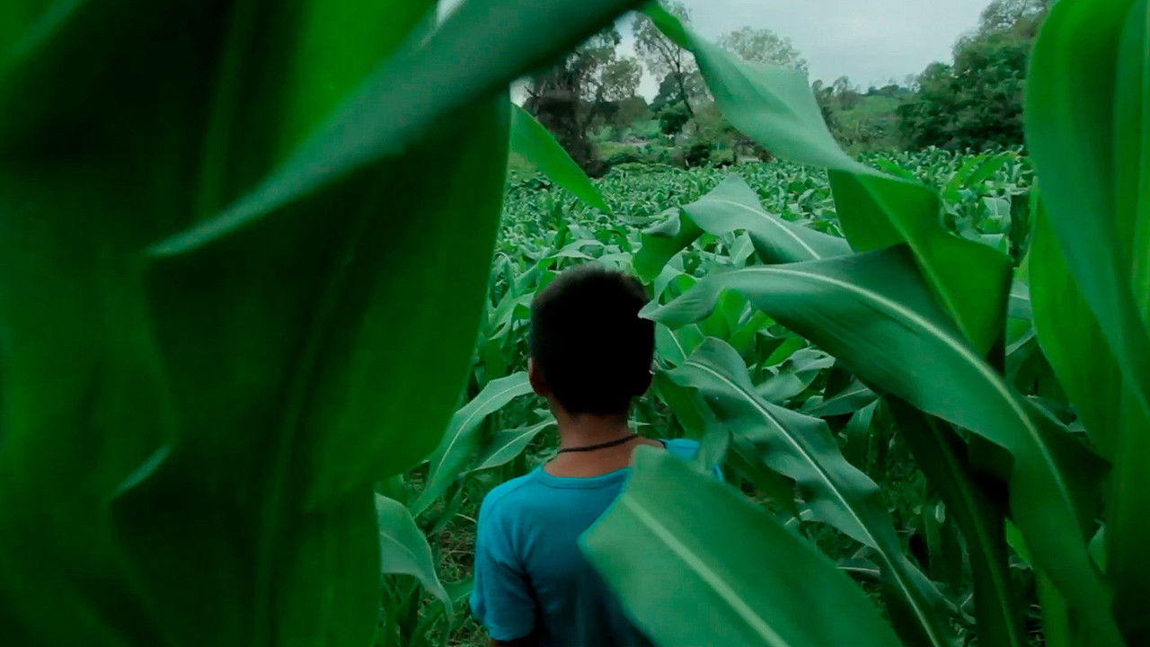 Tecuani, Hombre Jaguar backdrop