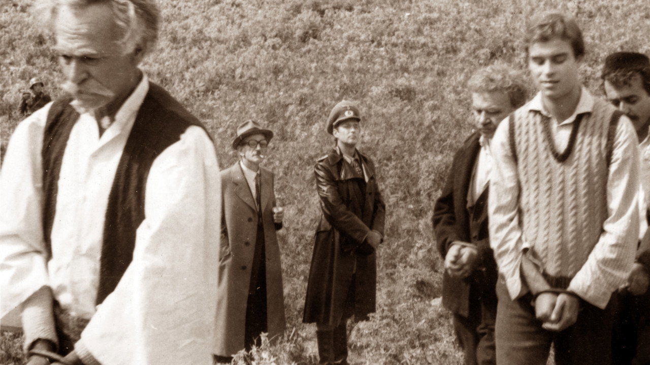 The Councillors backdrop