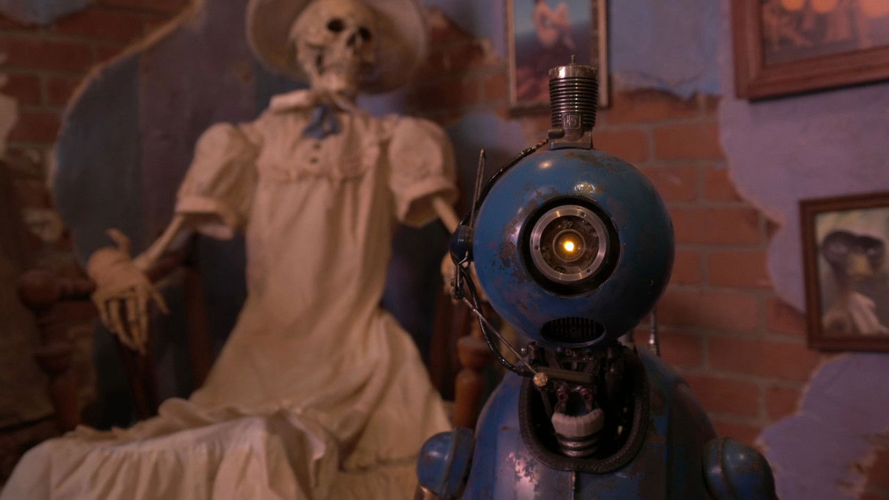 Daisy Belle backdrop