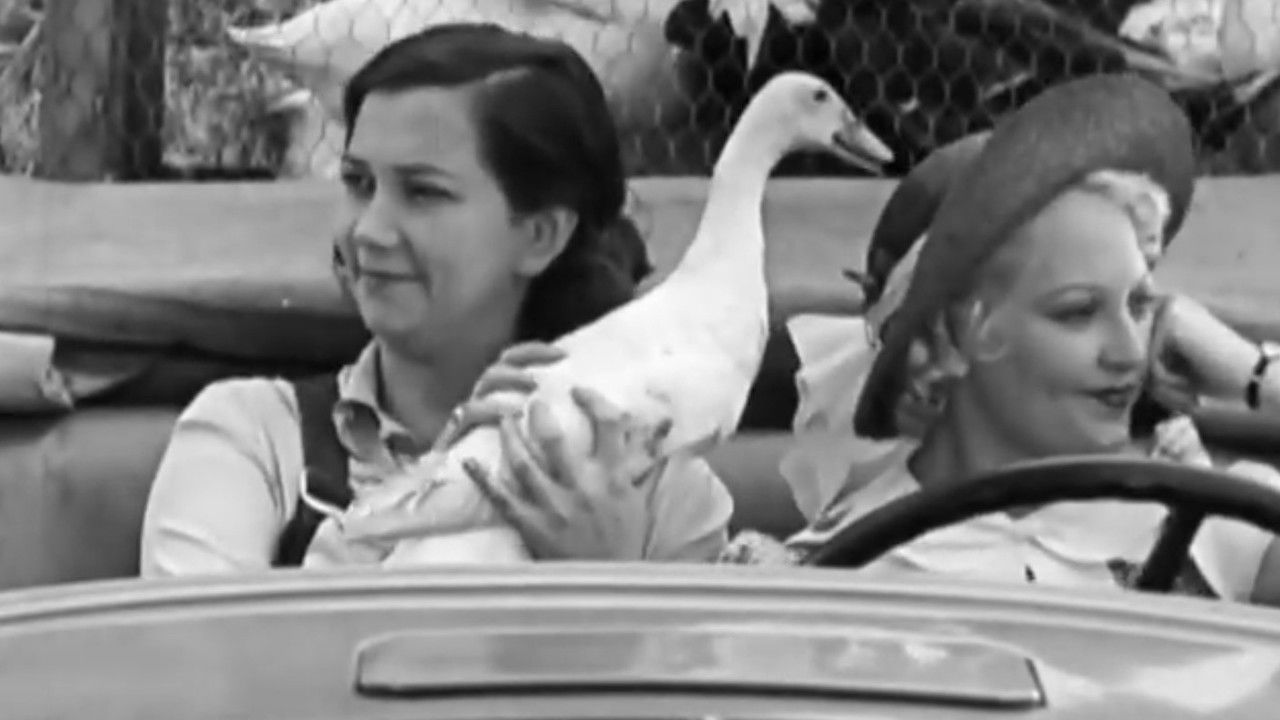 One-Horse Farmers backdrop