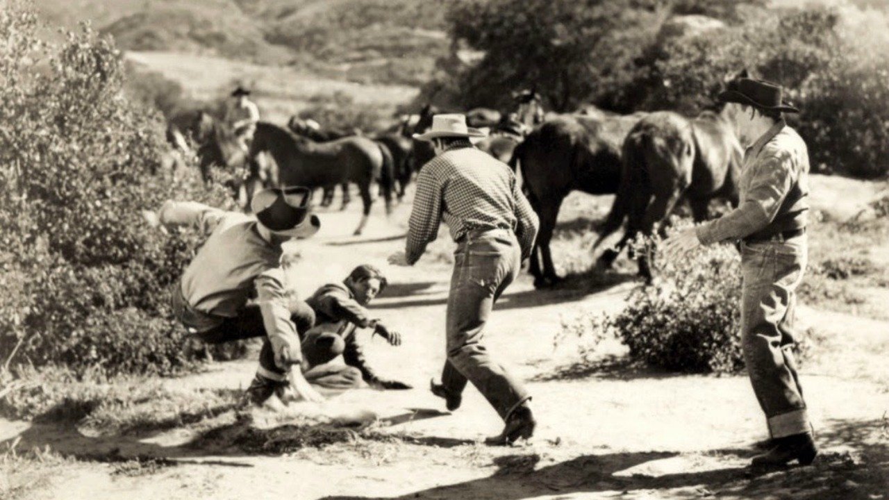 Black Eagle backdrop