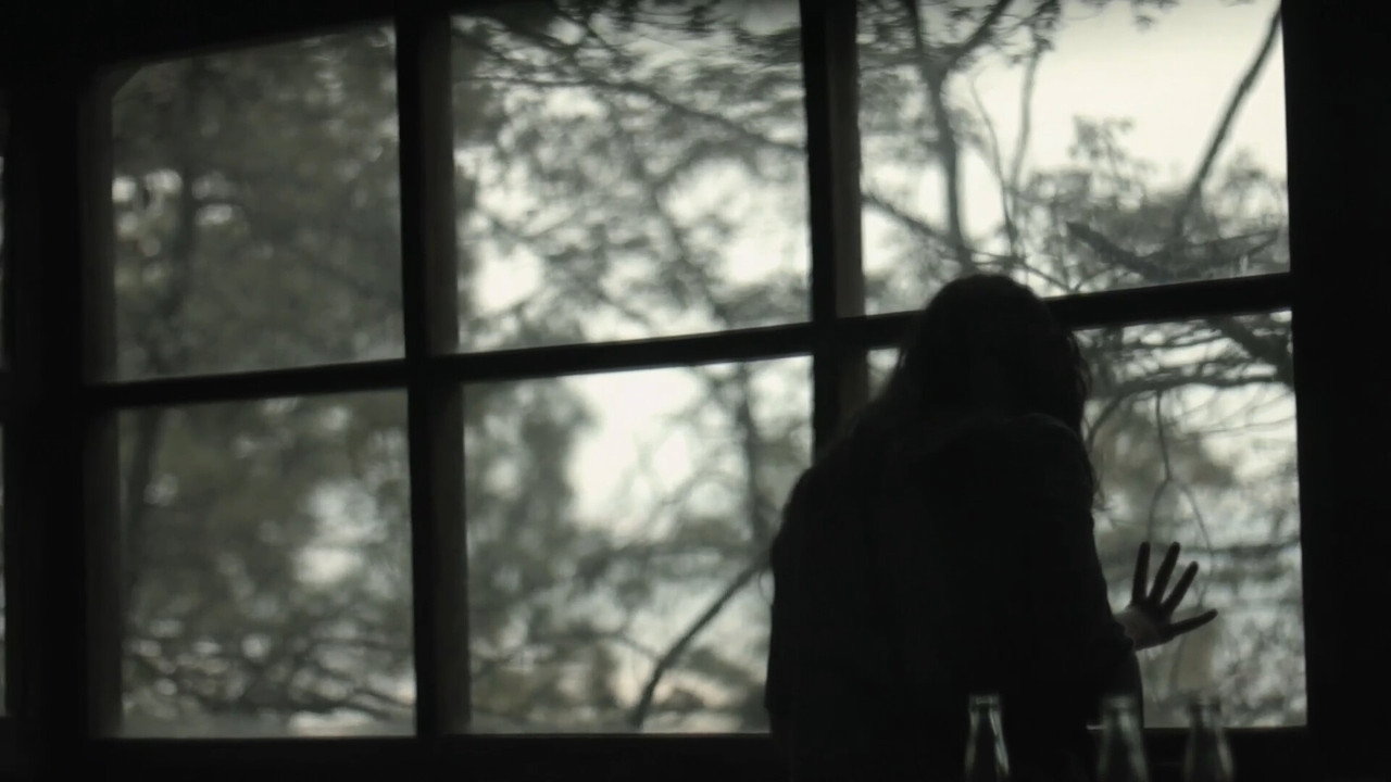 Still the Earth Moves backdrop