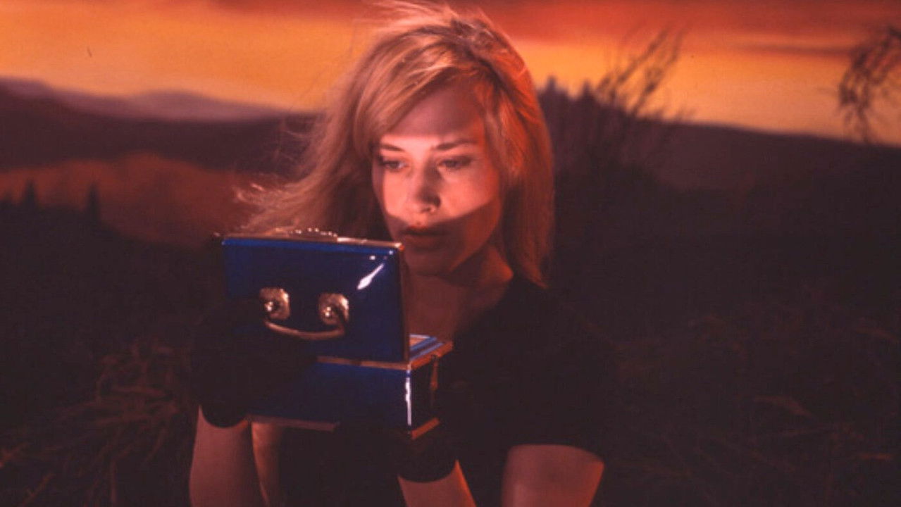 Made in Hollywood backdrop