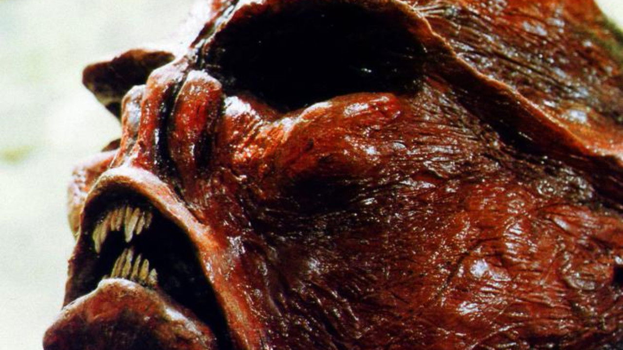 Kill Them and Eat Them backdrop