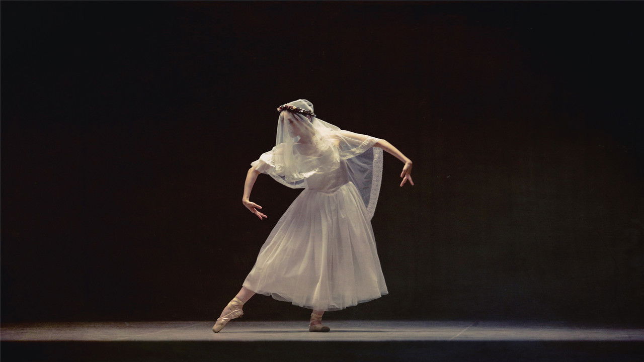 Fading Shadow backdrop