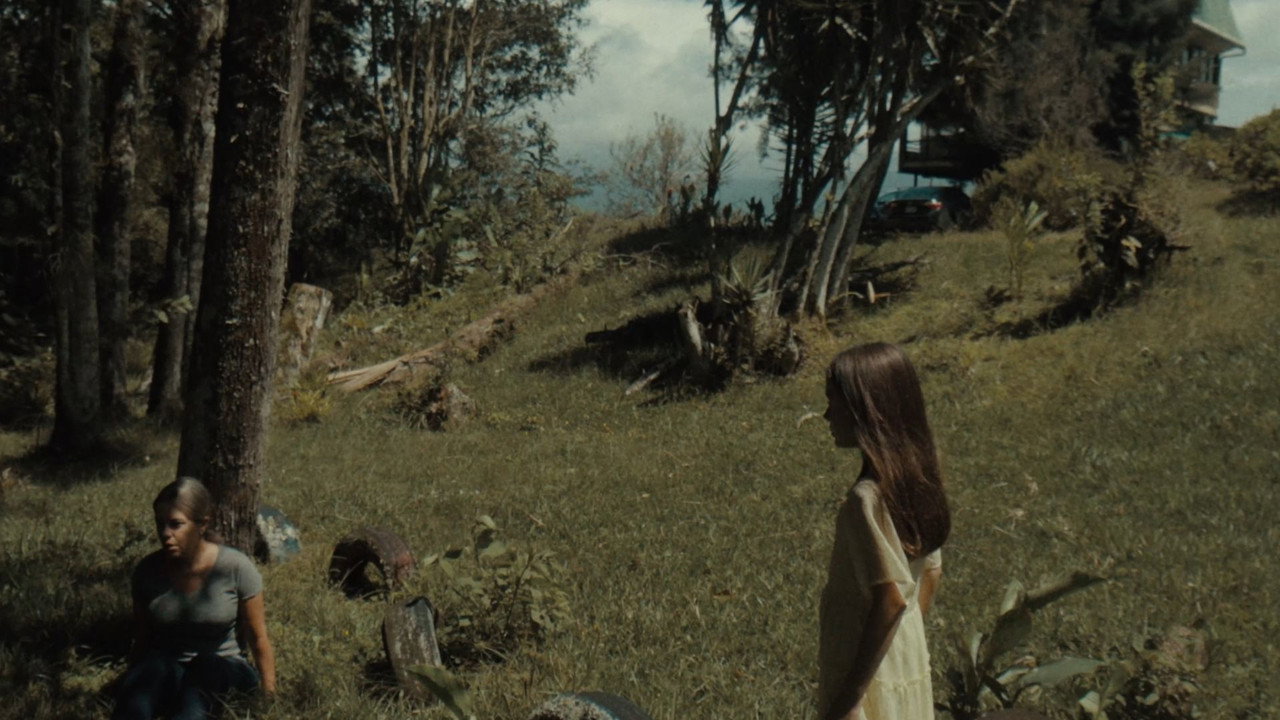 Mi Memoria de Ellos backdrop