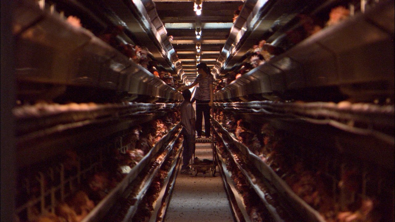 Our Daily Bread backdrop