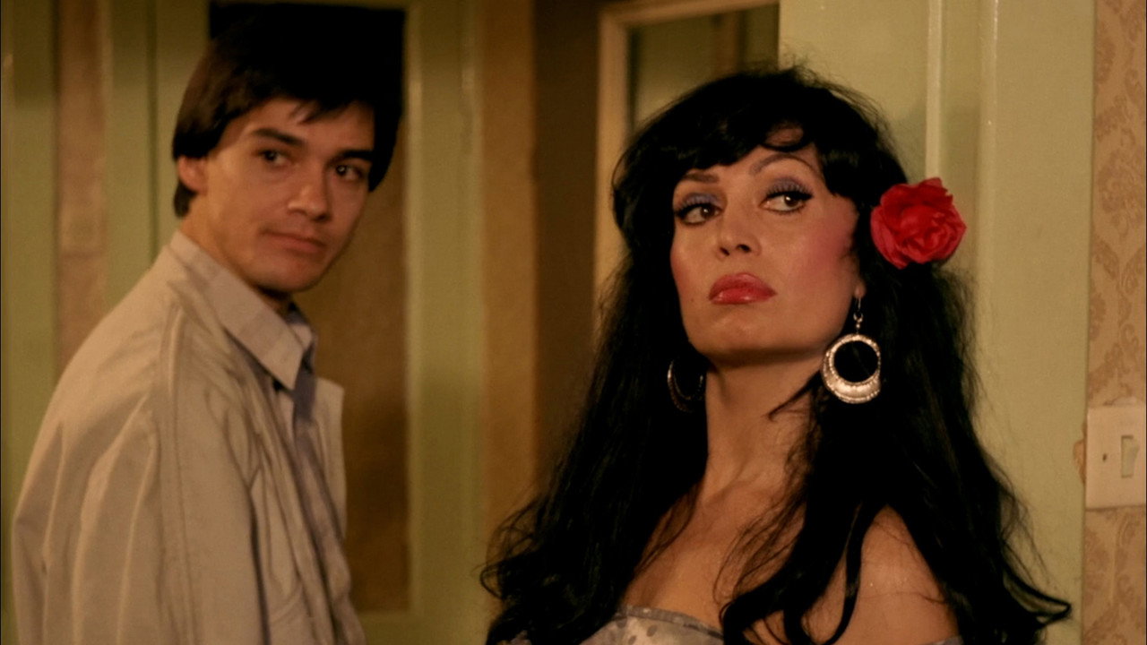 My Dreams, My Love, and You backdrop