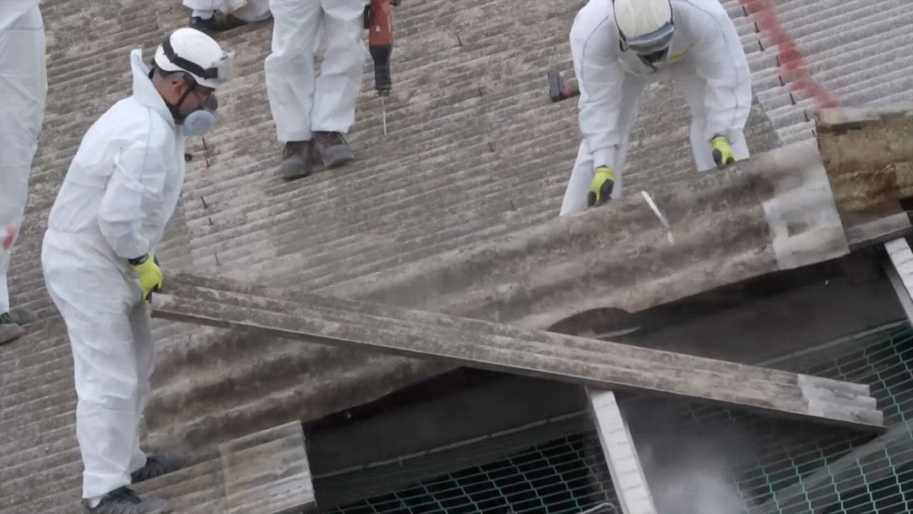 La fibra sensible backdrop