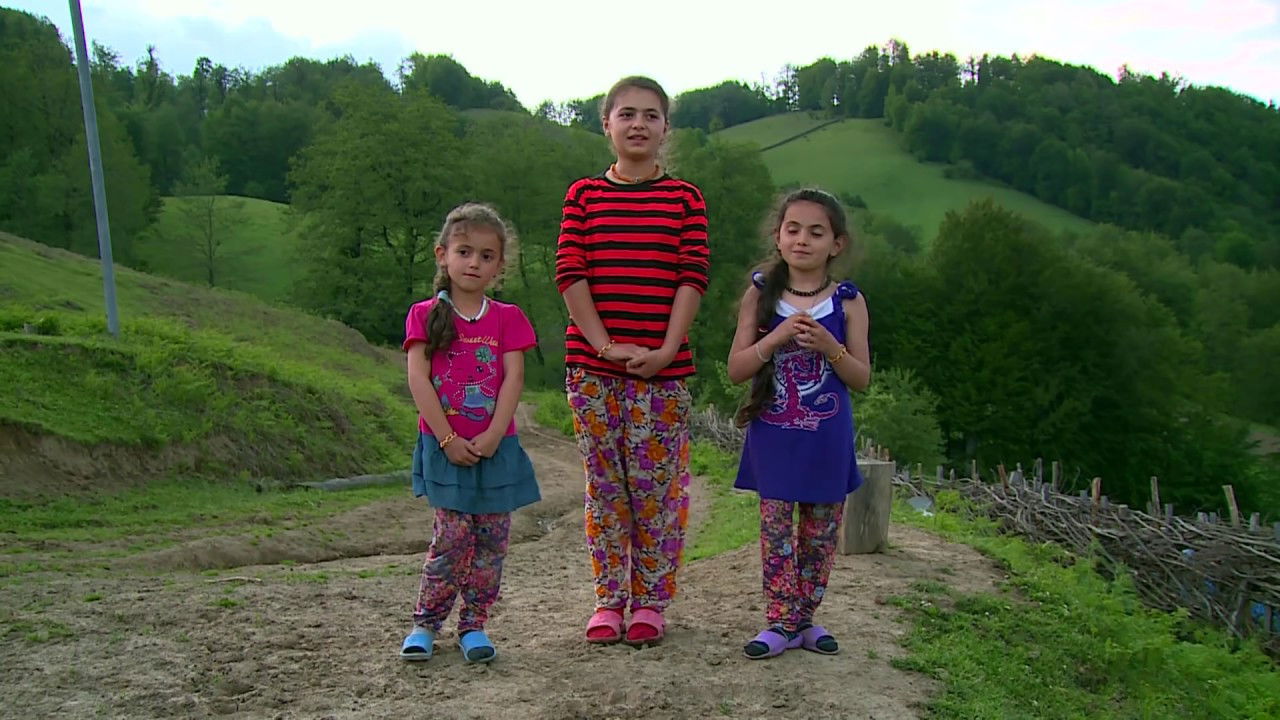 The Fog Will Carry Us backdrop