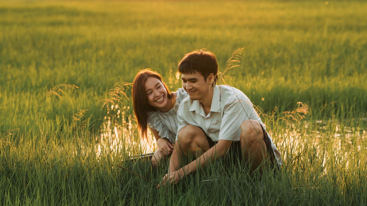 The Undertaker 2: Afterlife backdrop