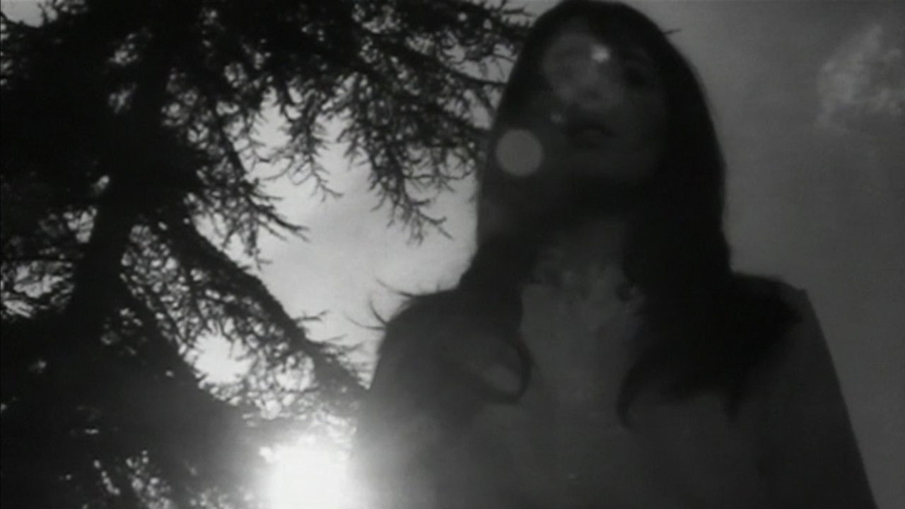 Destroy, She Said backdrop