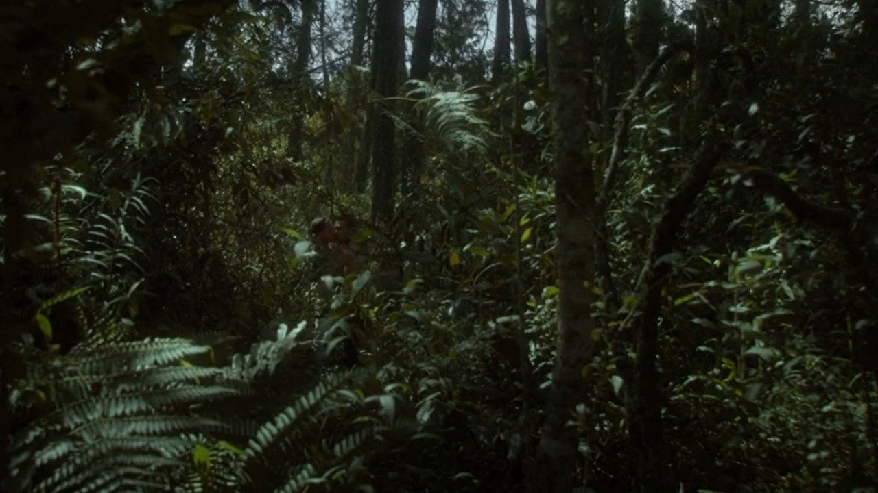 Twice the Beast backdrop