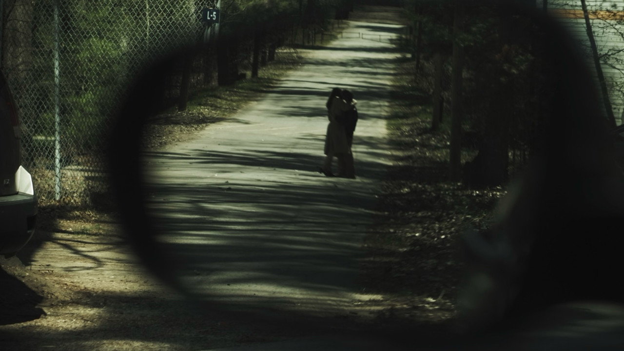 Sight of the Fact backdrop