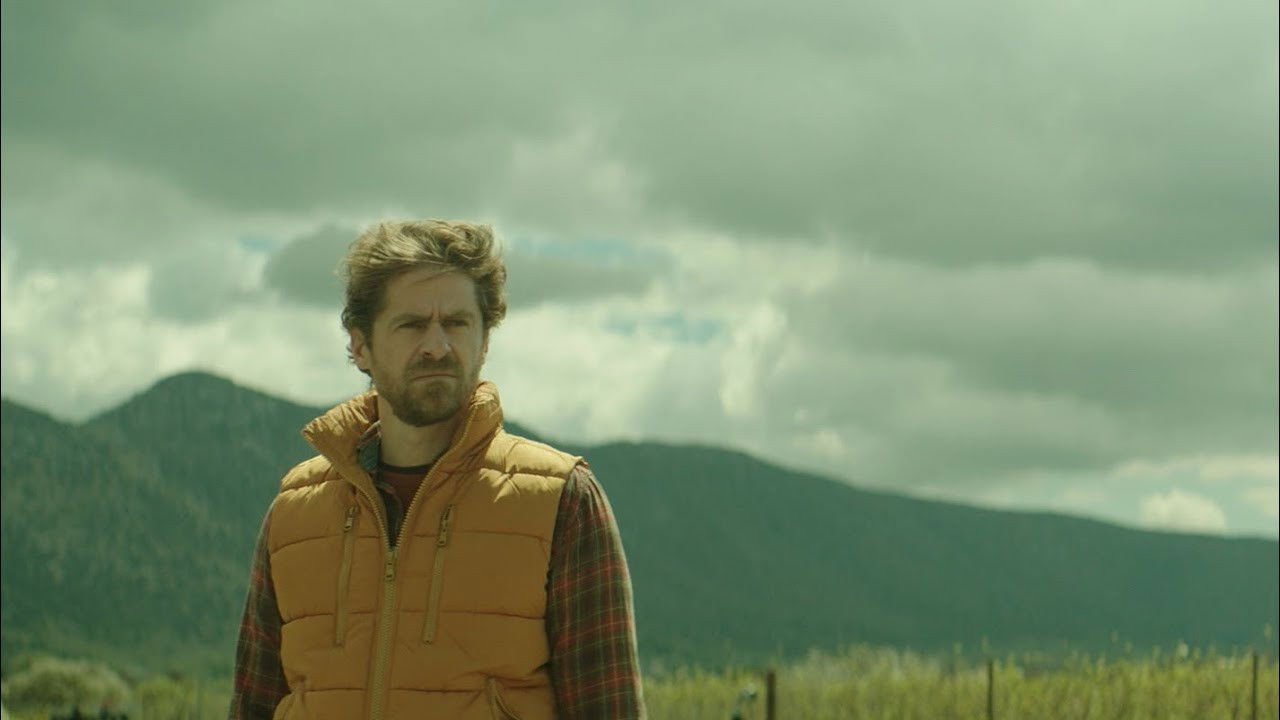 Pack of Sheep backdrop