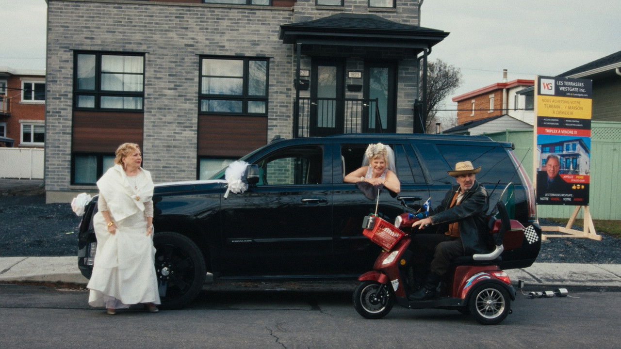 Cardboard City backdrop
