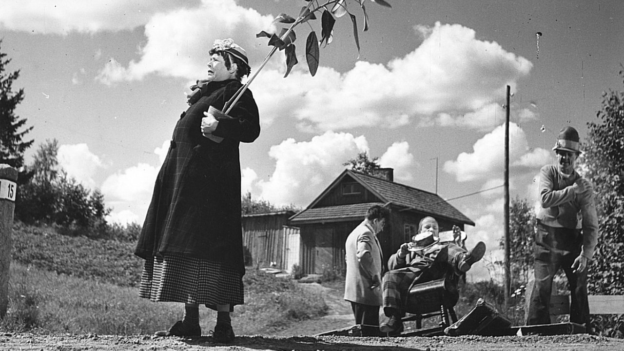 Pekka Puupää kesälaitumilla backdrop