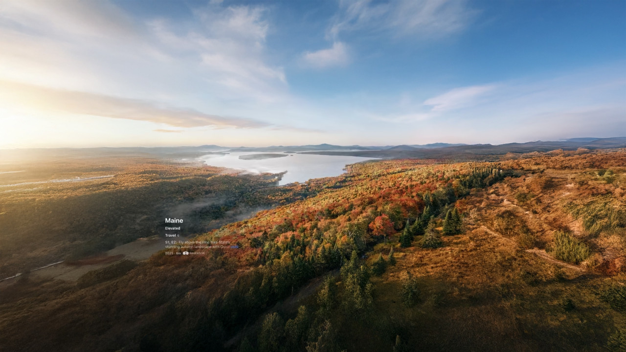 Elevated: Maine backdrop