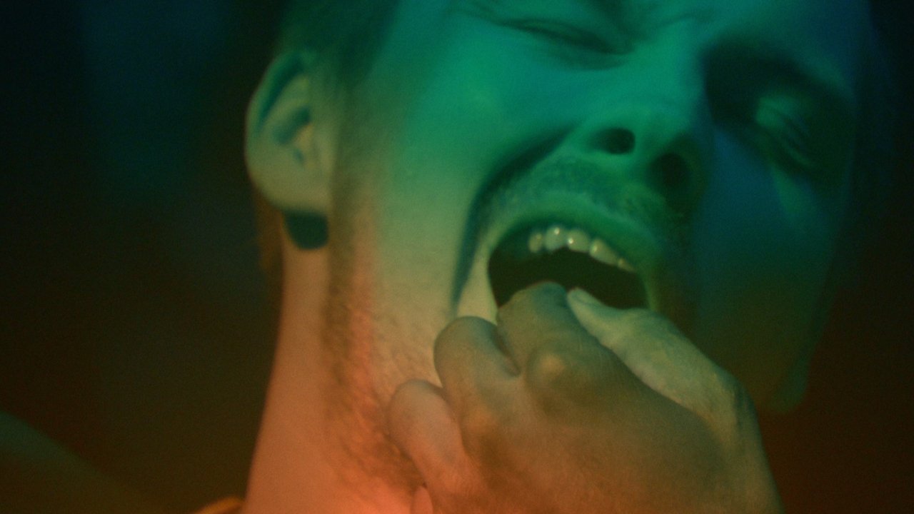 The Wisdom Tooth backdrop