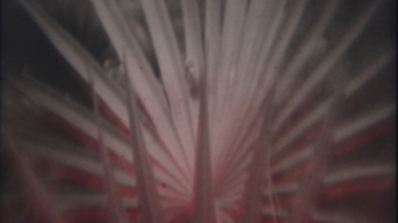 Nowhere Fast backdrop