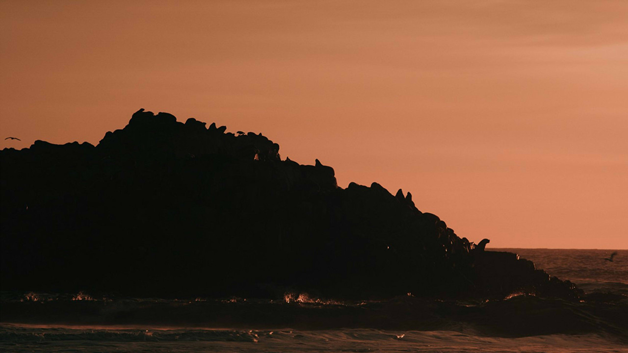 The Dawn of the Ancients backdrop