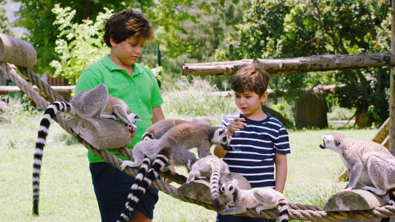 Talking Animals backdrop