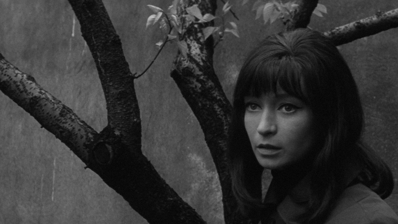 Dita Saxová backdrop