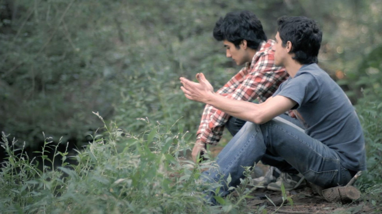 Stones to the river backdrop