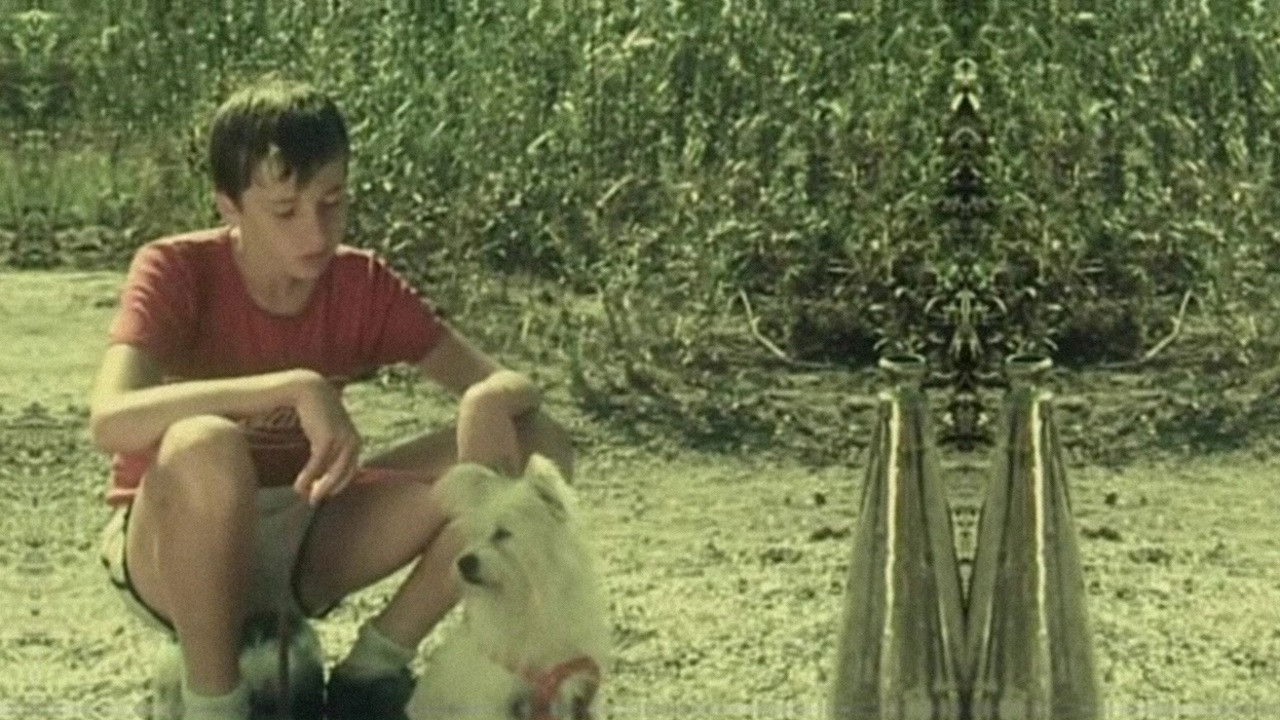 The Ivory Aigrette backdrop