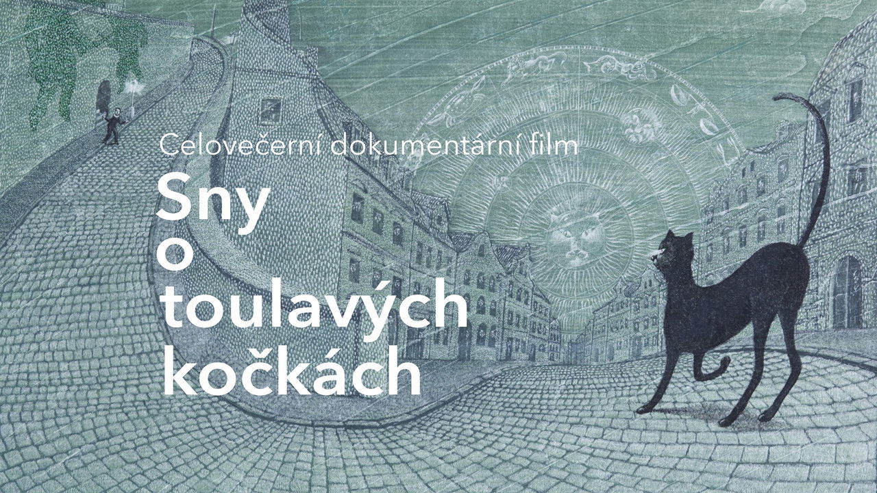 Dreams About Stray Cats backdrop