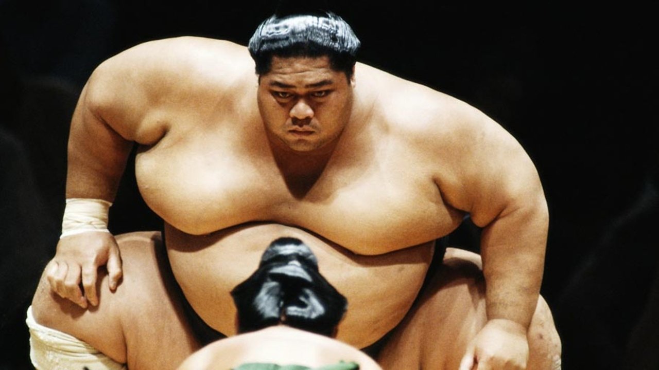 National Geographic: Inside Sumo's Ultimate Clash backdrop