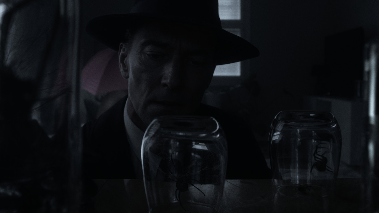 Arachnobody backdrop