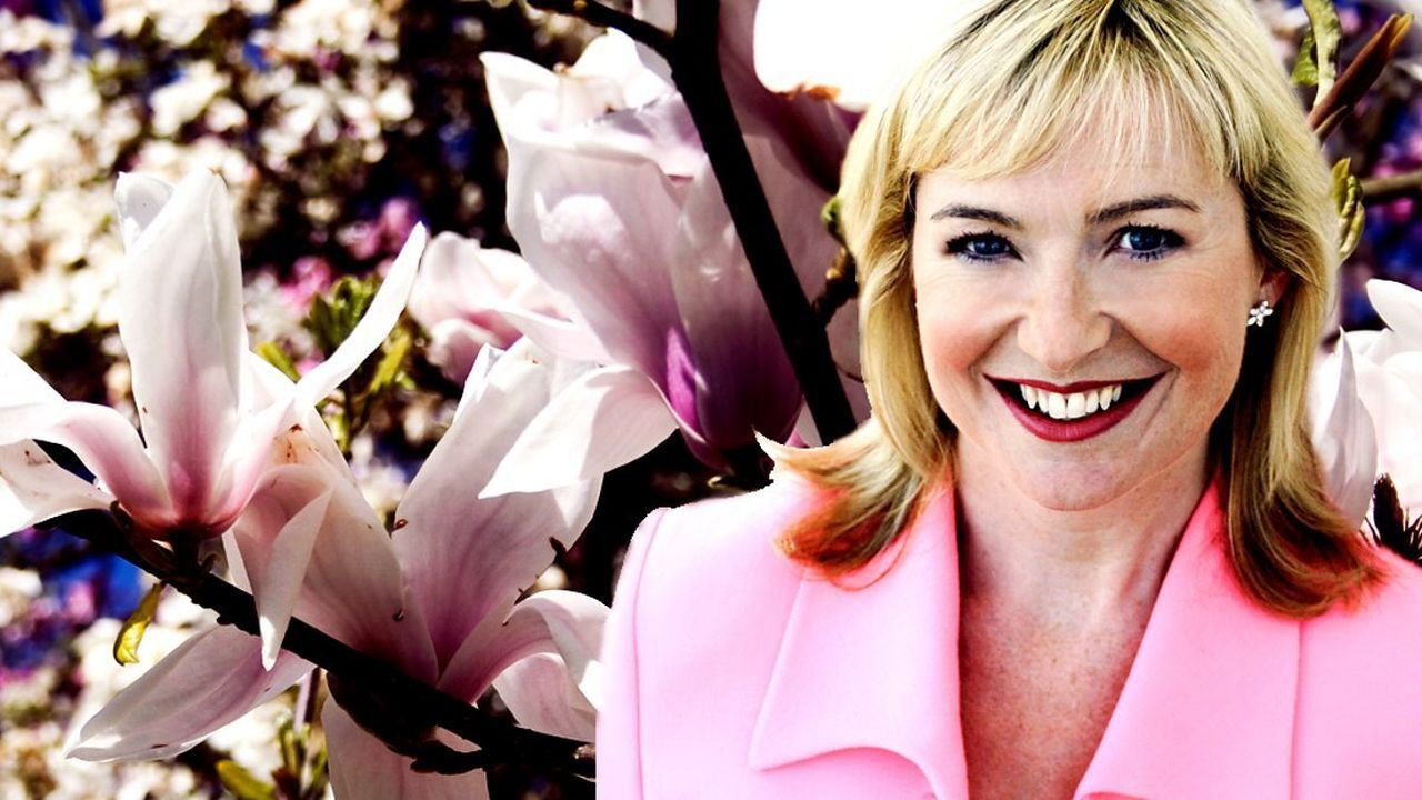 A to Z of TV Gardening backdrop