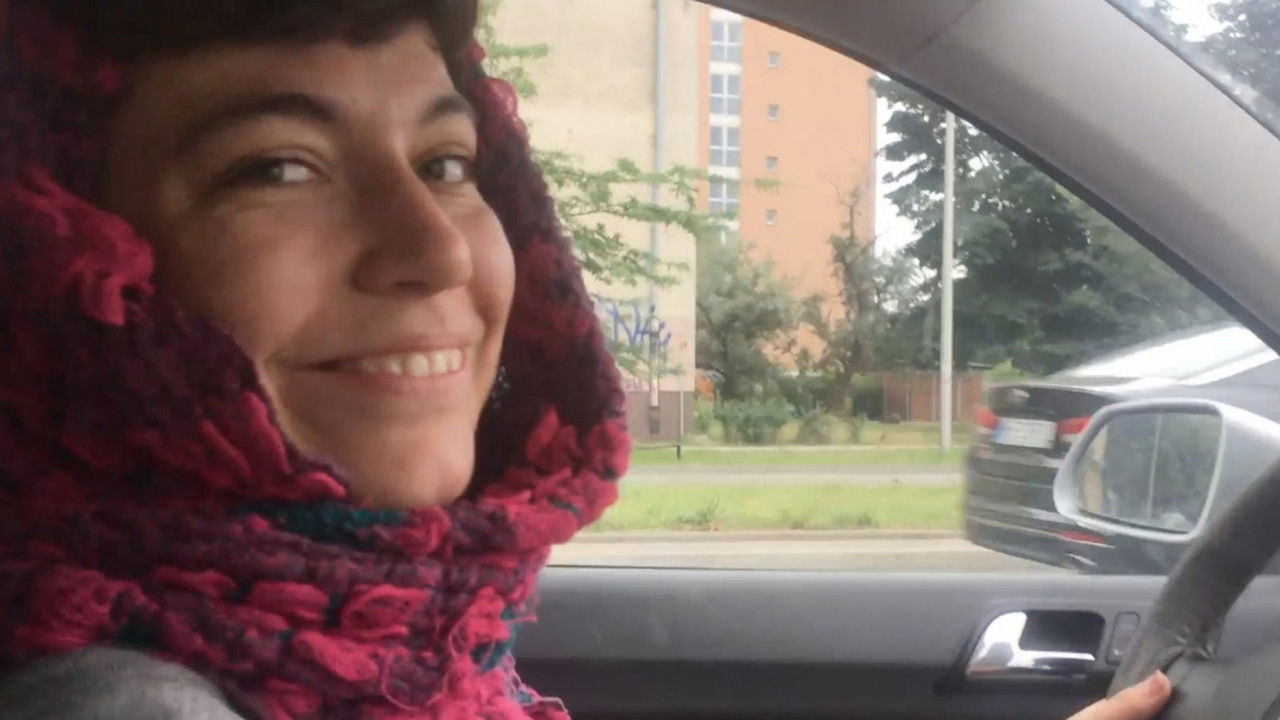 how much is it uncomfortable for dogs to step out on a highway? backdrop