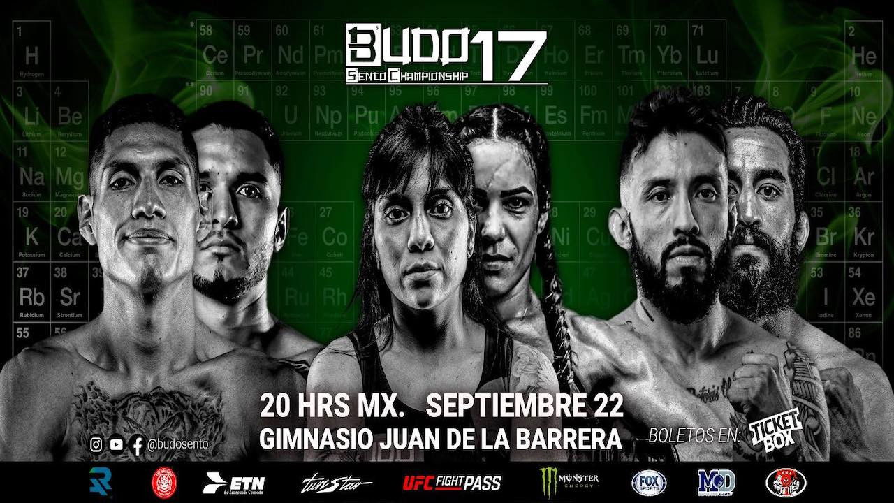 Budo Sento Championship 17 backdrop