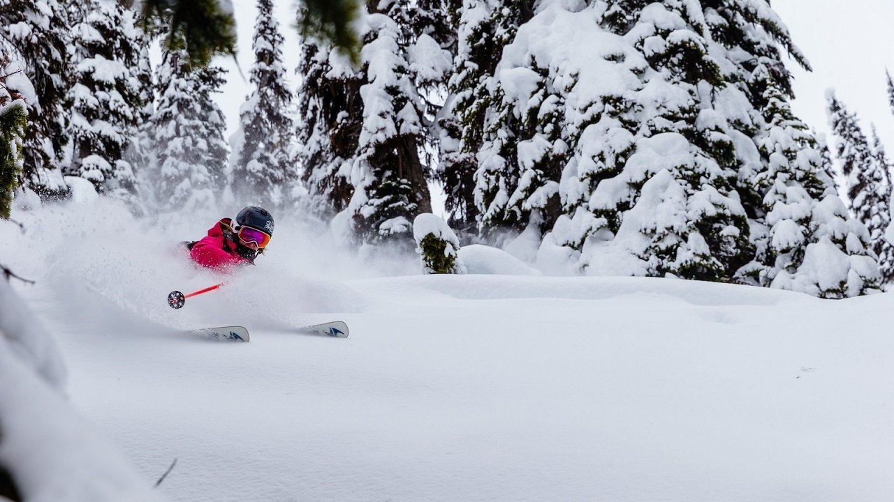 Rogue Elements backdrop