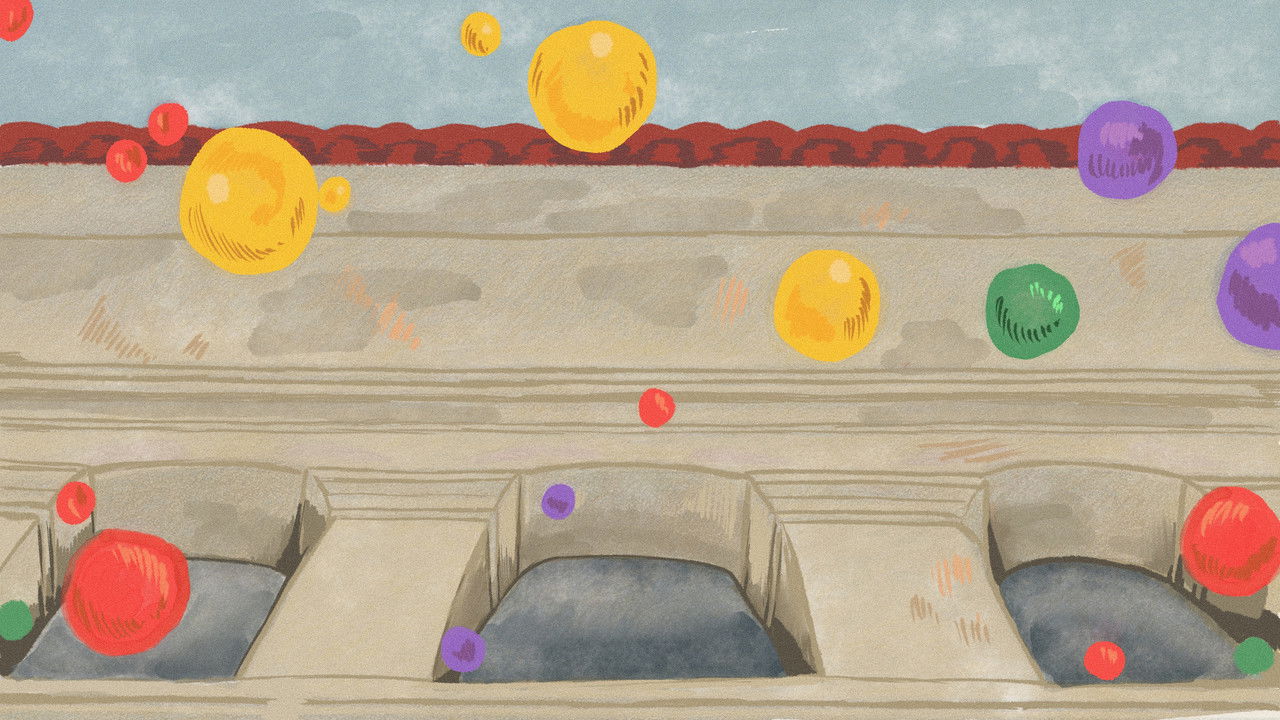 The Teeth Brotherhood backdrop