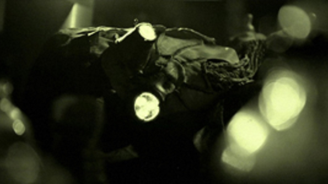 Je n’aurais pas dû manger le chat backdrop