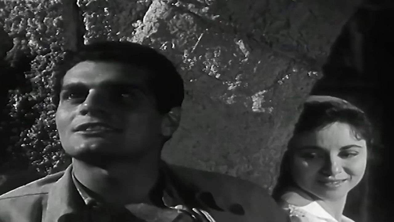 Land of Peace backdrop