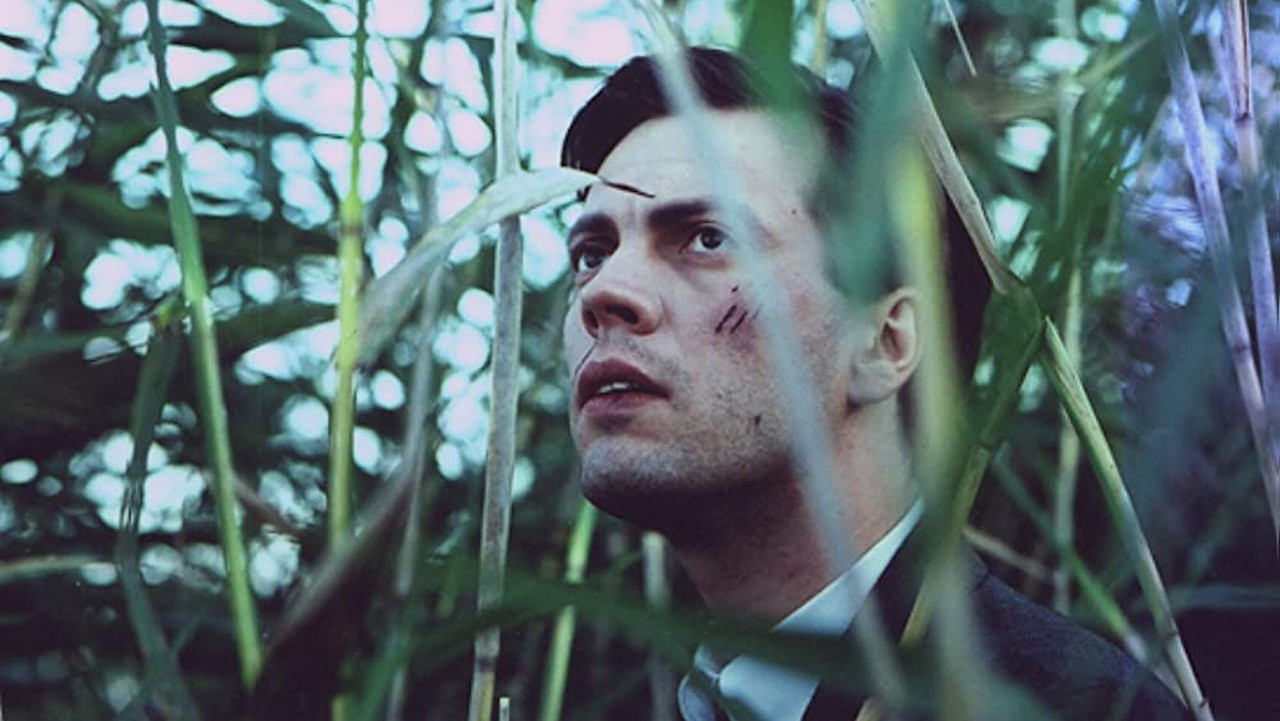 Agent Wild Duck backdrop