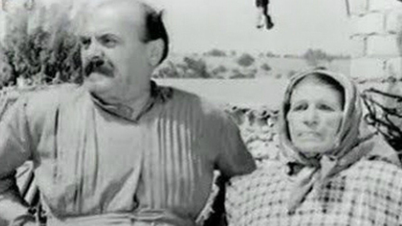 They ere all... Fools! backdrop